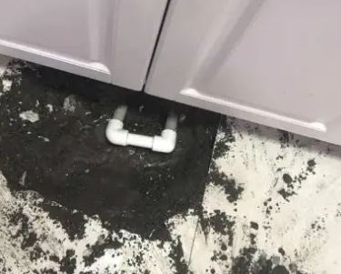 阳江市查漏水哪家好